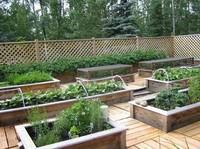 LookAtHome.ru garden home-vegetable-garden-ideas-12[1]