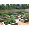 LookAtHome.ru garden home-vegetable-garden-ideas-12[1]
