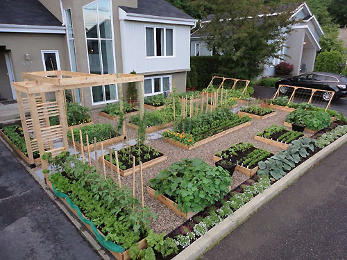 LookAtHome.ru garden home-vegetable-garden-ideas-13[1]