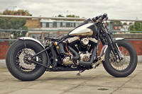 harley-softail