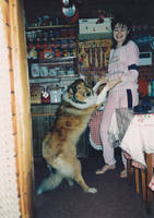 VFL.RU - ваш фотохостинг