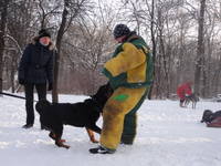 VFL.RU - ваш фотохостинг