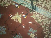 VFL.RU - ваш фотохостинг