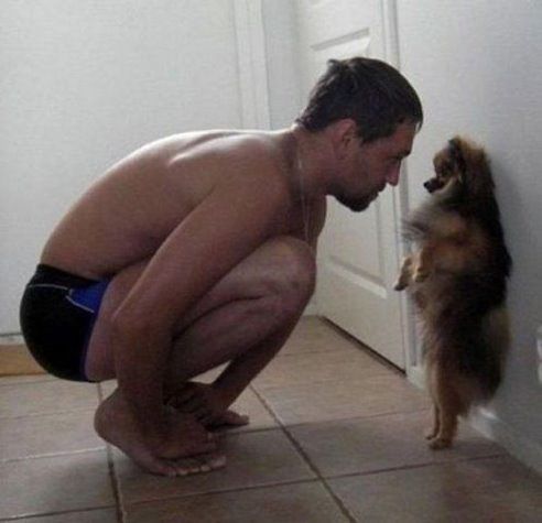 Кто съел сосиску