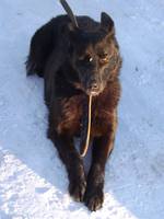 VFL.RU - ваш фотохостинг