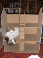 Picture dolls house 013