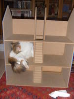 Picture dolls house 012