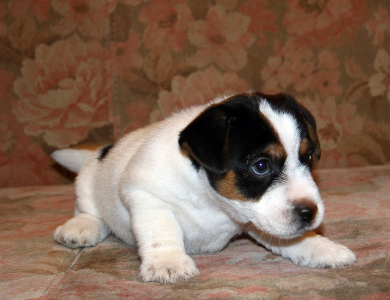 bill-male2-3