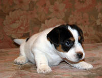 bill-male2-3