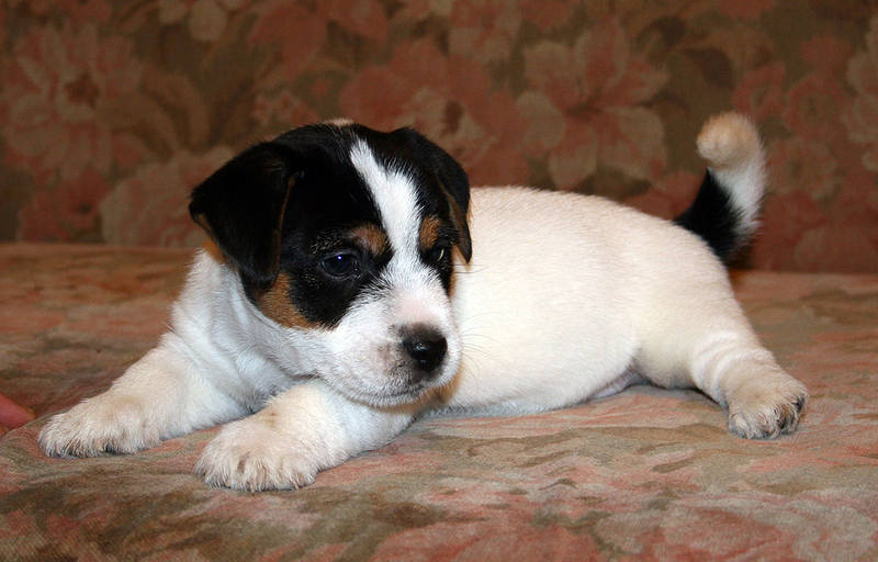 bill-male2-4