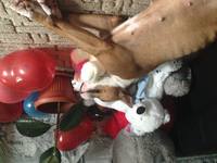 image (10)