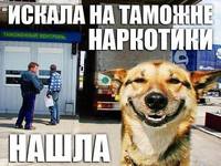 ел7угп5цна4