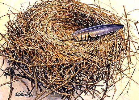 empty nest