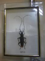 Изображение 028