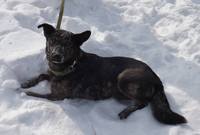 VFL.RU - ваш фотохостинг