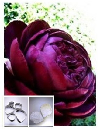 T1s PBFnxdXXXXXXXX !!0-item pic.jpg 430x430