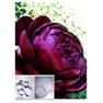 T1s PBFnxdXXXXXXXX !!0-item pic.jpg 430x430