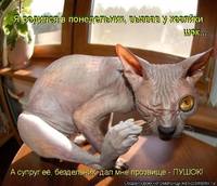 getImage-4.bin