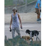 tom-kaulitz-mit-seinen-hunden