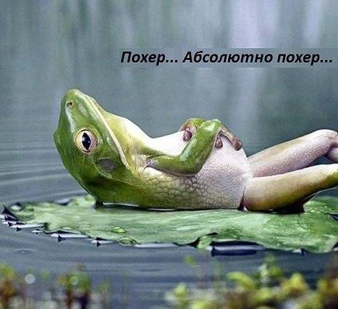 похер