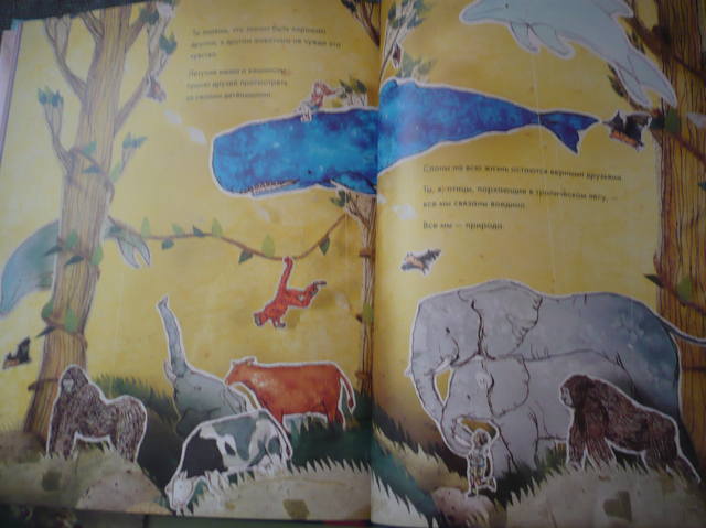 VFL.RU - ваш фотохостинг