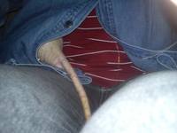 VFL.RU - ваш фотохостинг