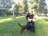 VFL.RU - ваш фотохостинг