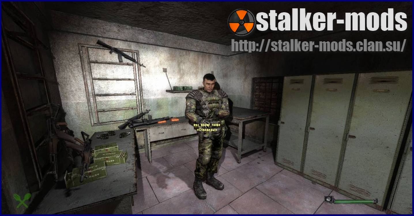 stalker 7