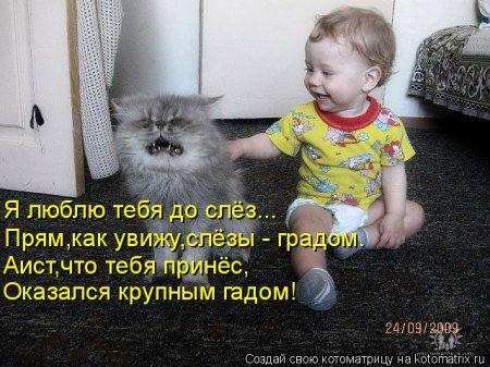 http://images.vfl.ru/ii/1395312875/63c75a73/4555942_m.jpg