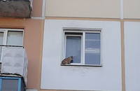 VFL.RU - ваш фотохостинг