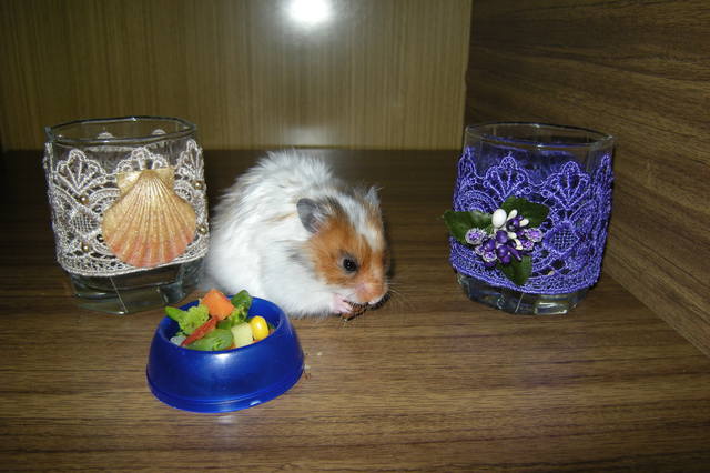 Изображение 020