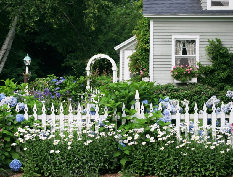 забор с белыми цветами