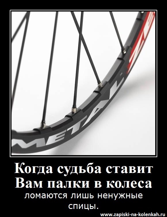 Палки в колеса предложение. Цитаты про палки в колеса. Про колесо высказывания. Ставить палки в колеса. Ставить палки под колёса.