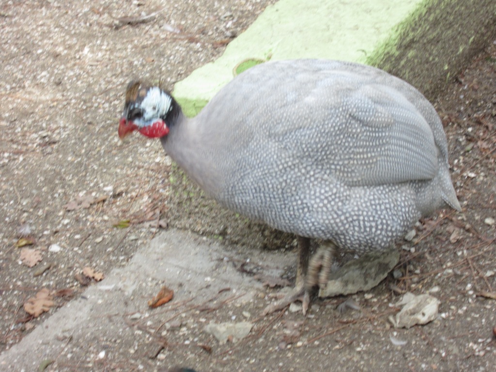 Изображение 554