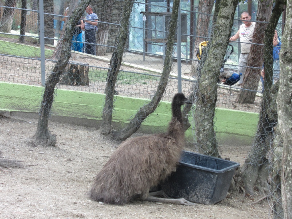 Изображение 606