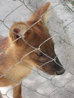 Изображение 682