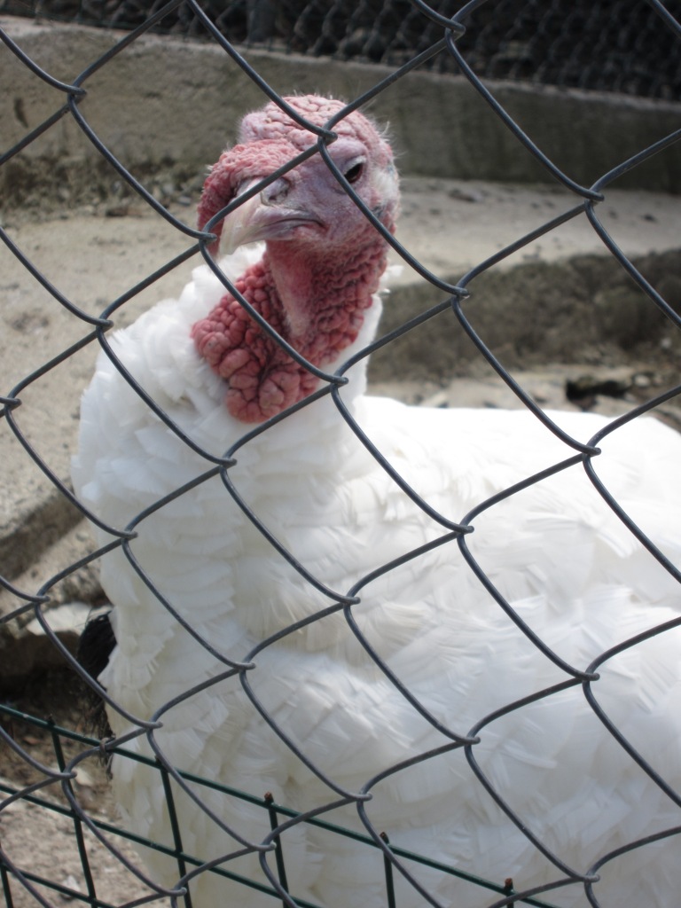 Изображение 688