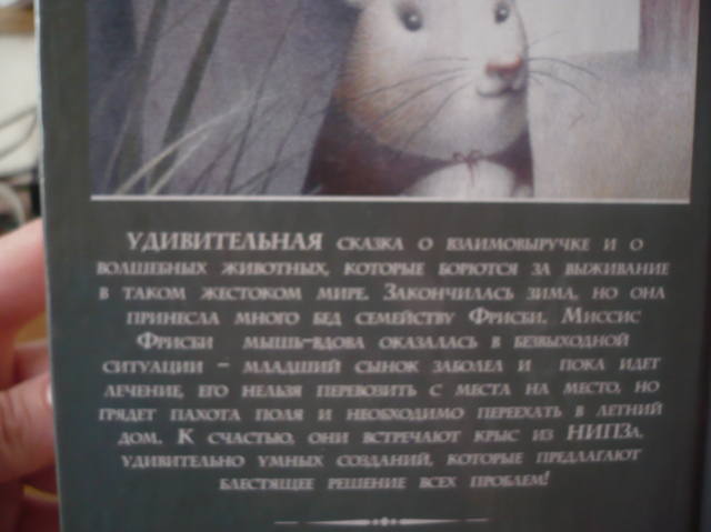 VFL.RU - ваш фотохостинг