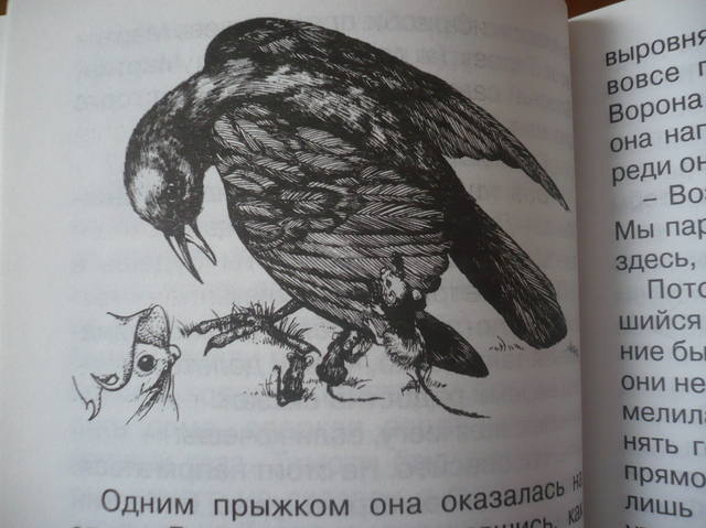 VFL.RU - ваш фотохостинг