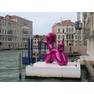 Pink Poodle