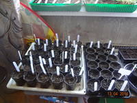 соревнования 102