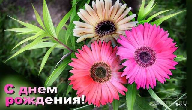 http://images.vfl.ru/ii/1398405606/657717d7/4943816_m.jpg