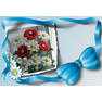 VipTalisman568