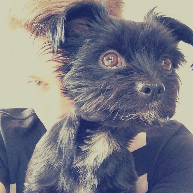 cutest-dog-on-earth-nexttoPumbaofcourse-puppy-love-bff-tokiohotelinstagram-aliens