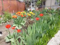 VFL.RU - ваш фотохостинг