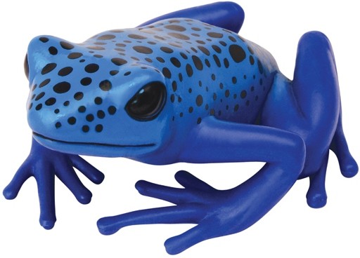 Голубой древолаз