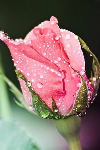 VFL.RU - ��� �����������