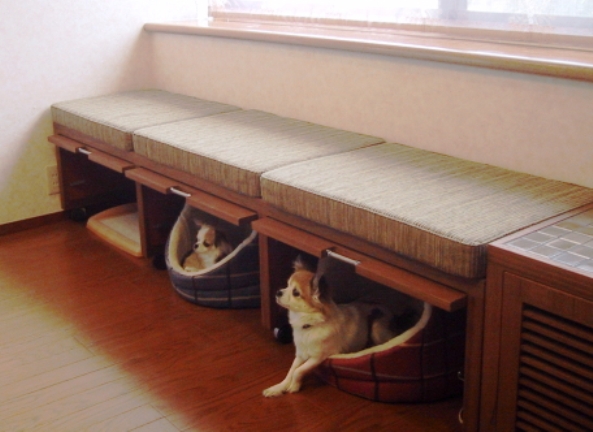 dog-friendly-house waggingworld com