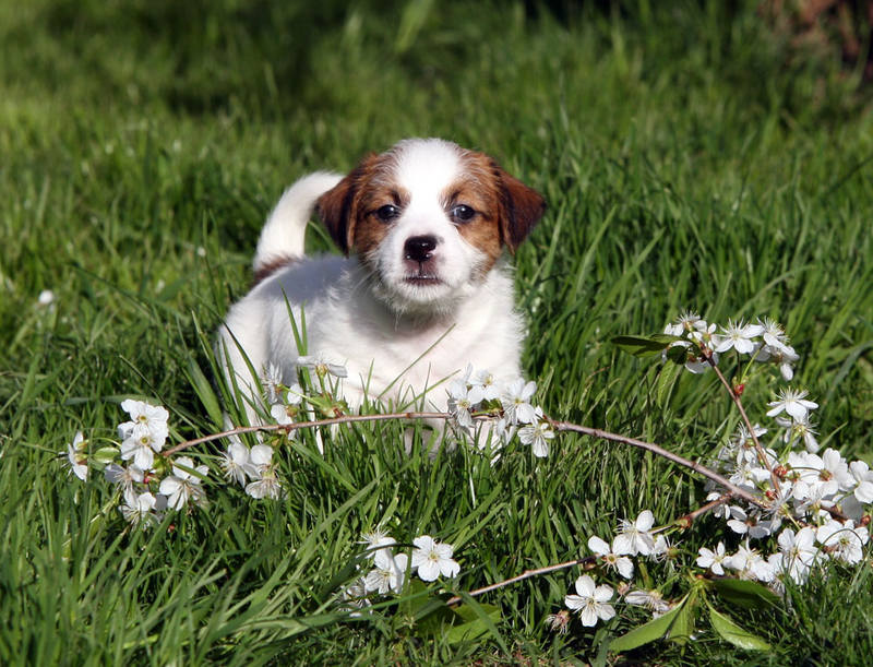 penny-sherik-male2-3