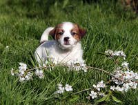 penny-sherik-male2-3